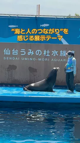 おとけしきのTikTok投稿
