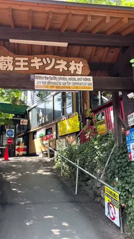 おとけしきのTikTok投稿