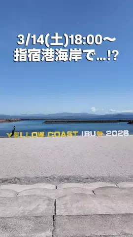 鹿児島を愛するタクティのTikTok投稿
