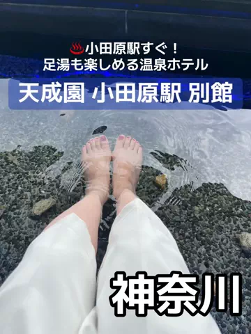あんずの旅のしおり🌿.∘のTikTok投稿