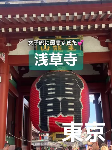 あんずの旅のしおり🌿.∘のTikTok投稿