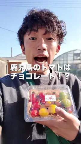 鹿児島を愛するタクティのTikTok投稿