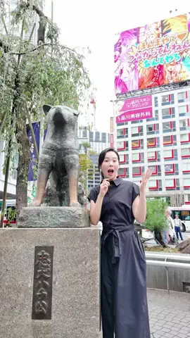 Travel Japan TogetherのTikTok投稿