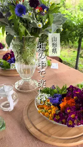 あいた | YamagataのTikTok投稿