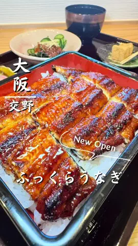 osaka.sanpo88のTikTok投稿