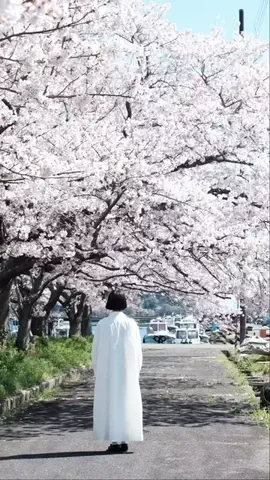 岩倉しおりのTikTok投稿