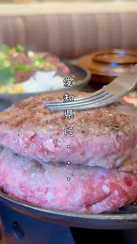 のりなな｜尾張グルメ＆親子おでかけ情報のTikTok投稿