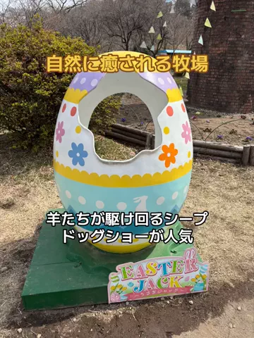 ポイけしき♨️宿図鑑のTikTok投稿