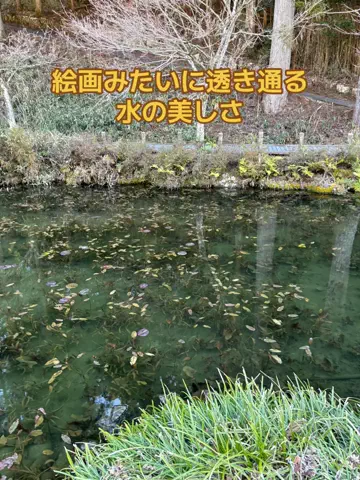 ポイけしき♨️宿図鑑のTikTok投稿