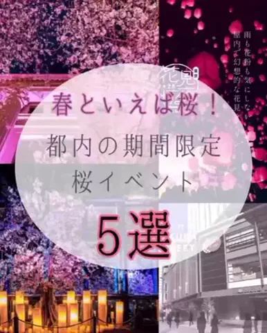 食欲パンダ トレンド発信中〜のTikTok投稿