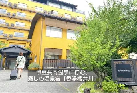 ホテル紹介チャンネルのTikTok投稿