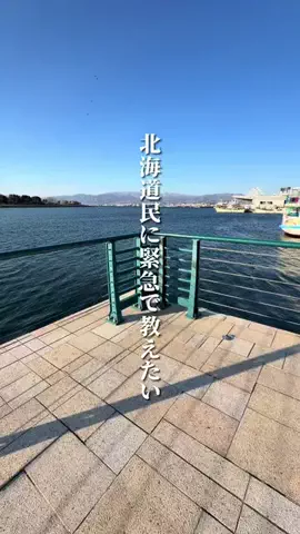 けんじ グルメマンのTikTok投稿