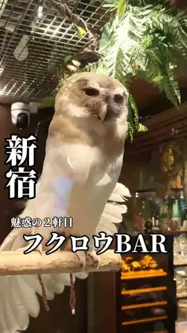 みさみさ🍽💛のTikTok投稿