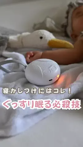 ちゃいなびのTikTok投稿