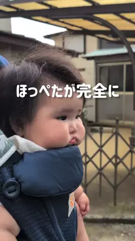 ちゃいなびのTikTok投稿