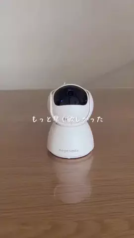 ちゃいなびのTikTok投稿