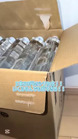 Lily 🦷🍒のTikTok投稿