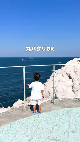 りゅうママのTikTok投稿