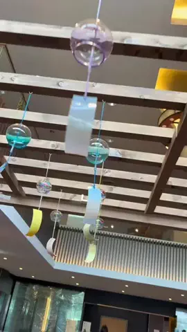 おでかけ五郎丸のTikTok投稿