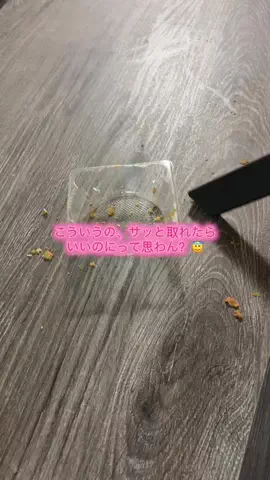 華、今日も買う。🎀のTikTok投稿