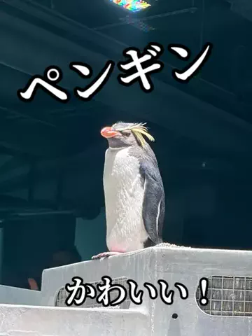 たびまちあるきのTikTok投稿