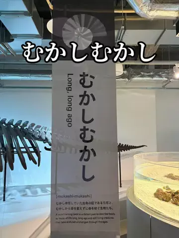 たびまちあるきのTikTok投稿