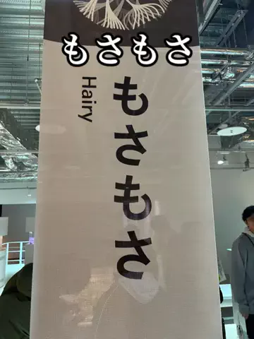 たびまちあるきのTikTok投稿