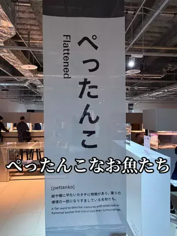 たびまちあるきのTikTok投稿
