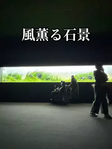 たびまちあるきのTikTok投稿
