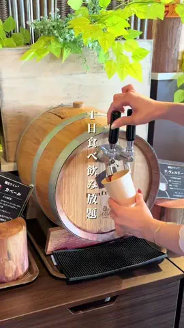 関西旅行studioのTikTok投稿