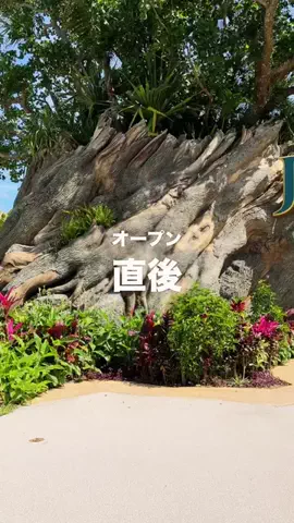 正直レビュー ✈️のTikTok投稿