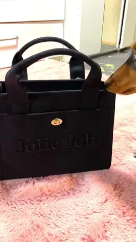 あんころ🐾うぶのTikTok投稿