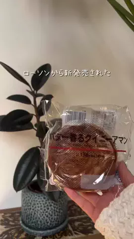 奈々未のTikTok投稿