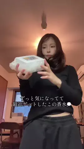 シーナのTikTok投稿