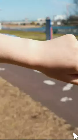 ポールの浪漫のTikTok投稿