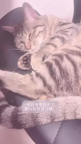 ♡*𝐌𝐨𝐦𝐨𝐧*♡のTikTok投稿