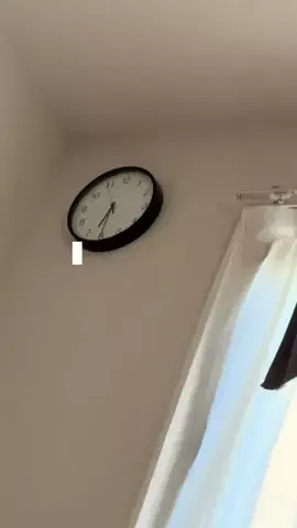 ここまるのTikTok投稿