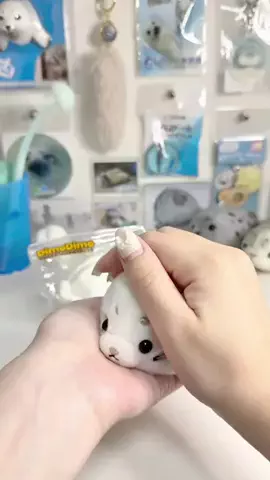 🦭あららち🦭 | 毎日アザラシ補給のTikTok投稿