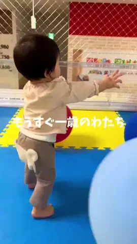 kotokafuruyamaのTikTok投稿