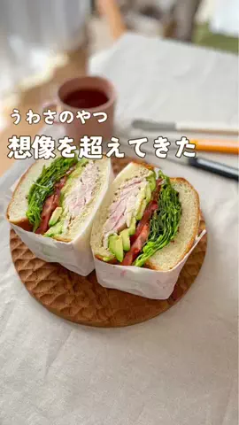 ももすけ（元サンドイッチ屋）のTikTok投稿