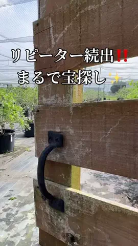 しっぽのTikTok投稿