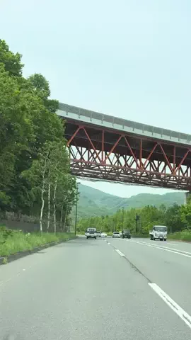 おにやん　北海道グルメのTikTok投稿