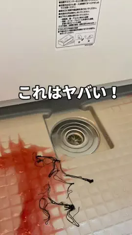 こまち｜掃除屋が教える1分楽ピカ術✨のTikTok投稿