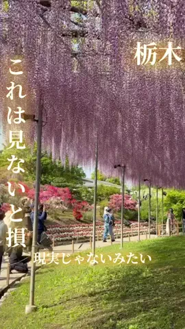 寝不足夜更かしバリトンのTikTok投稿