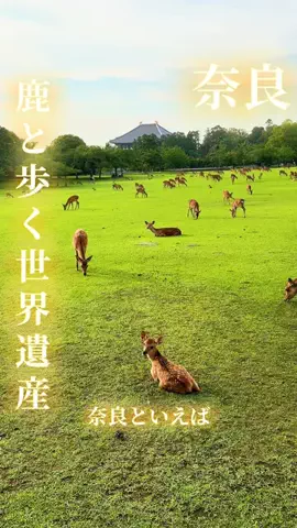 寝不足夜更かしバリトンのTikTok投稿