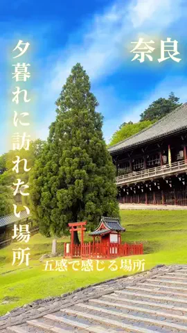 寝不足夜更かしバリトンのTikTok投稿