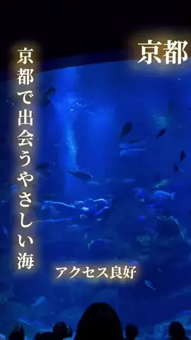寝不足夜更かしバリトンのTikTok投稿