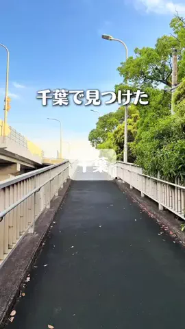 れい| 千葉グルメ&おでかけのTikTok投稿