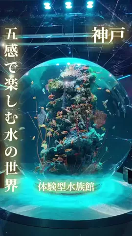 寝不足夜更かしバリトンのTikTok投稿