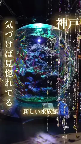 寝不足夜更かしバリトンのTikTok投稿